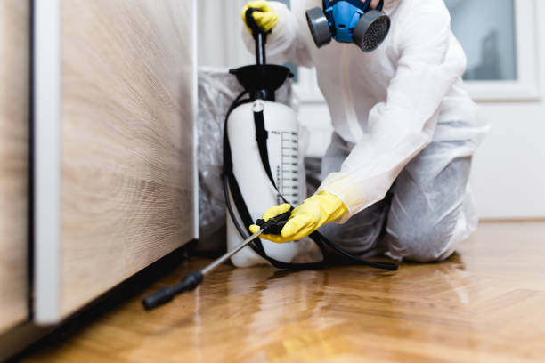 Best Residential Pest Control  in Pell City, AL