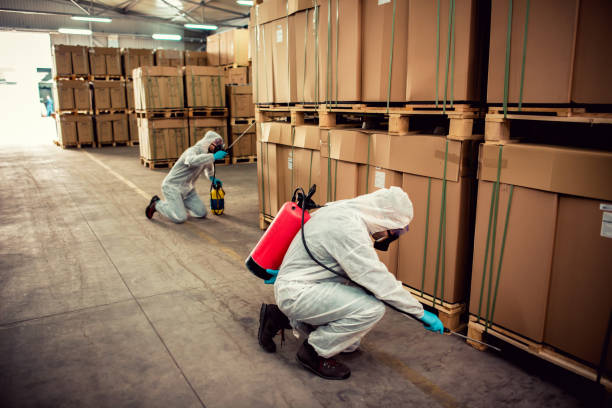 Best Exterminator Services  in Pell City, AL