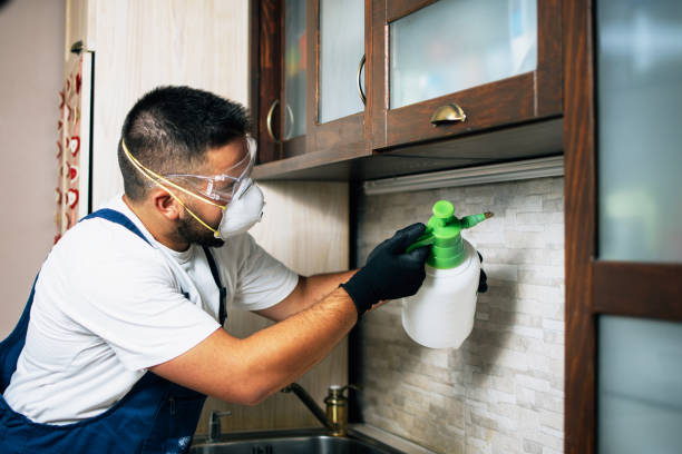 Best Local Pest Control Services  in Pell City, AL