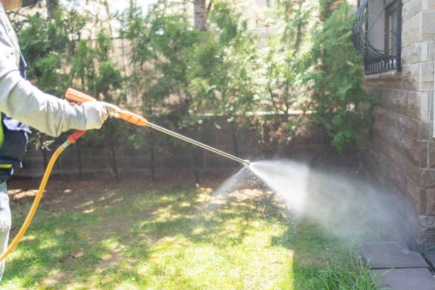 Best Best Pest Control Companies  in Pell City, AL
