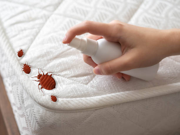 Best Mosquito Control Services  in Pell City, AL
