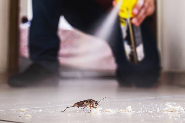 Best Commercial Pest Control Services  in Pell City, AL