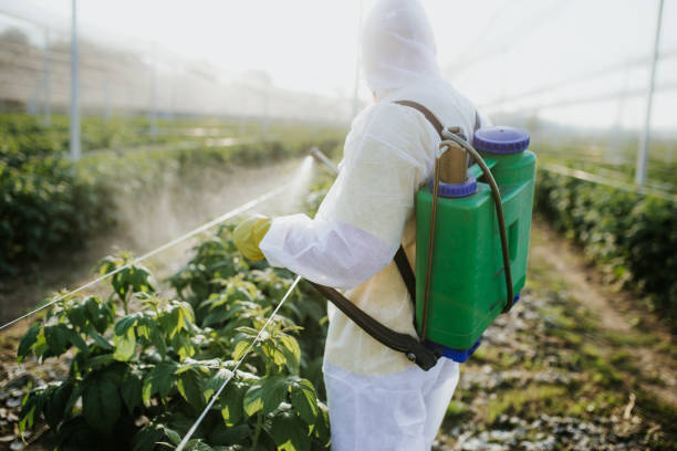 Best Best Pest Control Near Me  in Pell City, AL
